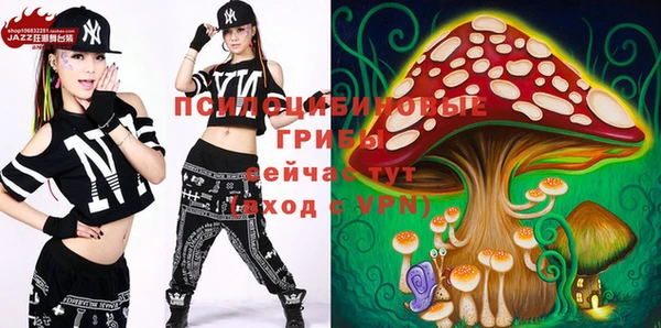 твердый Алзамай