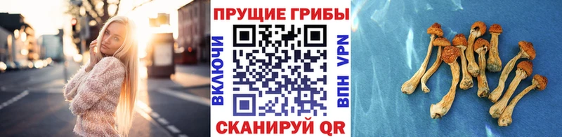закладки  shop формула  Галлюциногенные грибы ЛСД  Тула 