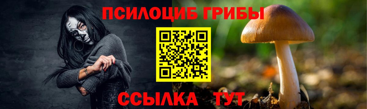 Тула  Псилоцибиновые грибы Psilocybine cubensis  Вход с VPN 